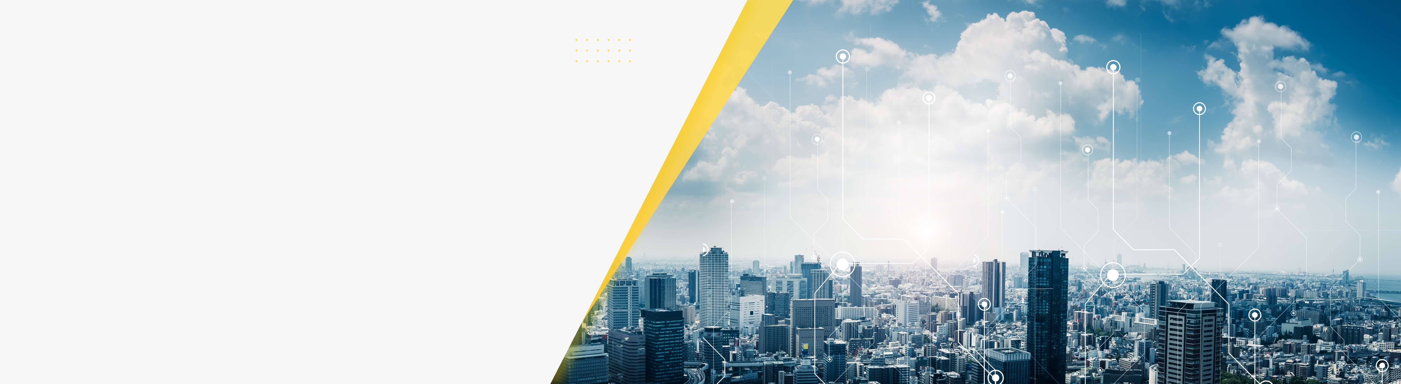 採用情報はこちら